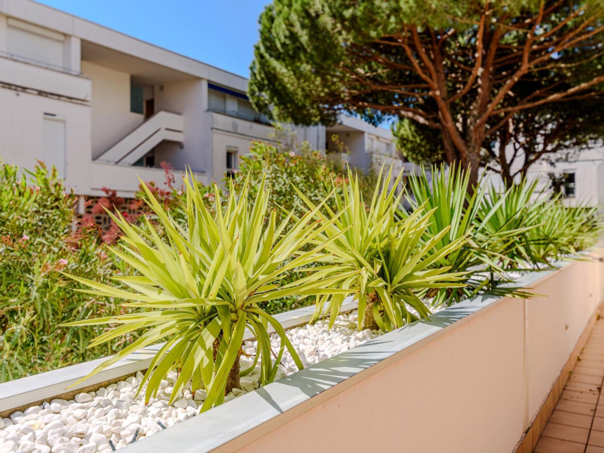 Apartment Antinéa-4 La Grande-Motte Esterno foto